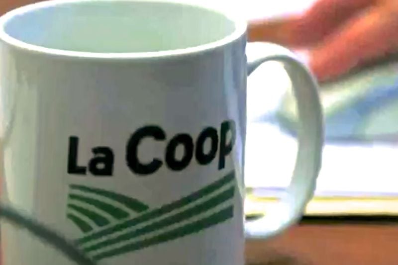 (Video screengrab from TalentsLaCoop.coop)
