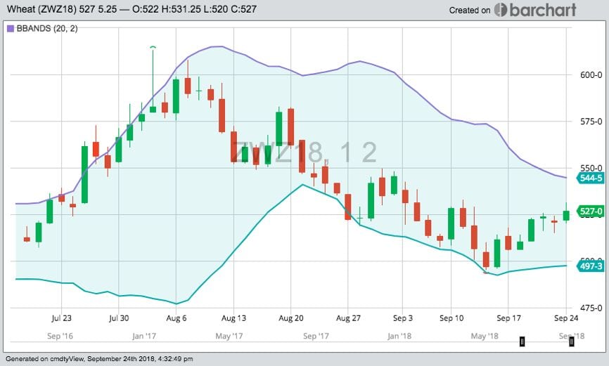 U.S. grains: Corn, wheat surpass one-month highs