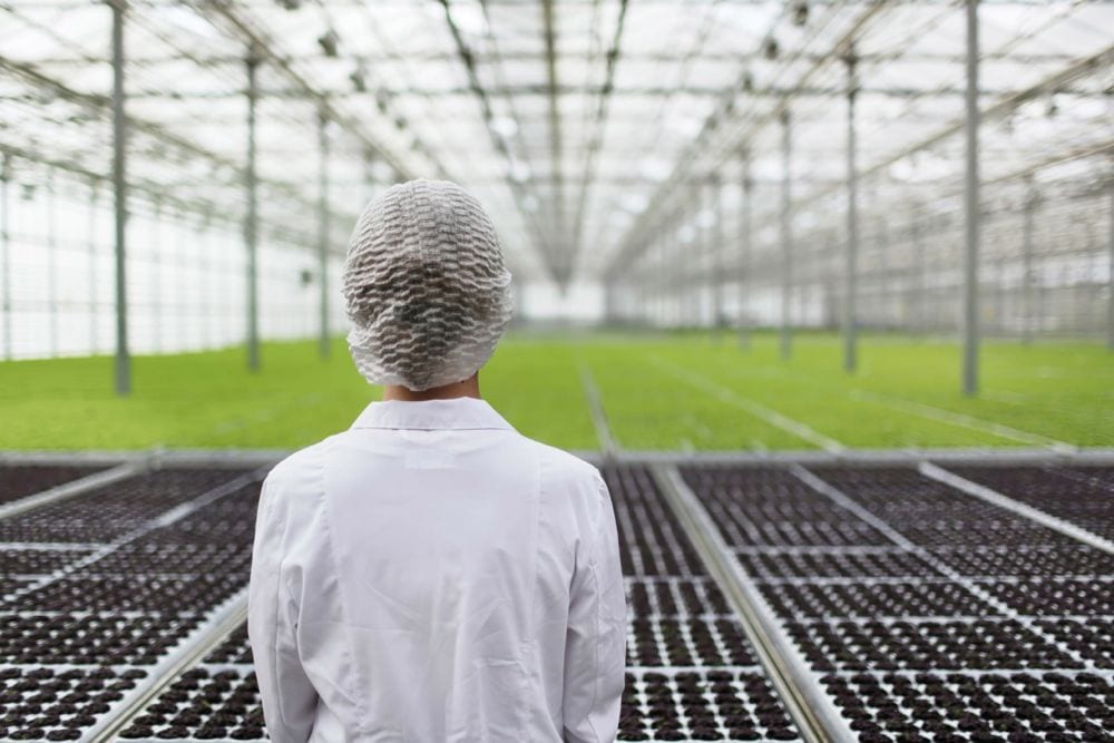 (Aphria.ca)
