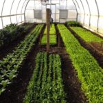 Embrace those business growing pains