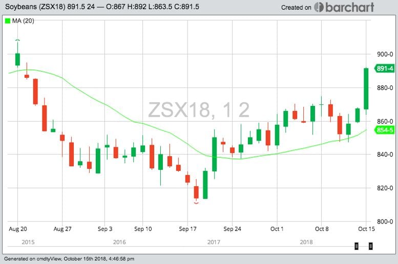 CBOT November 2018 soybeans, with 20-day moving average. (Barchart)