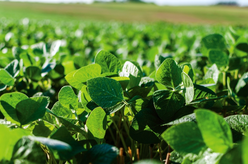 "There are both environmental and economic benefits of implementing 4R at the farm level.” – Dave Buttenham, OABA.