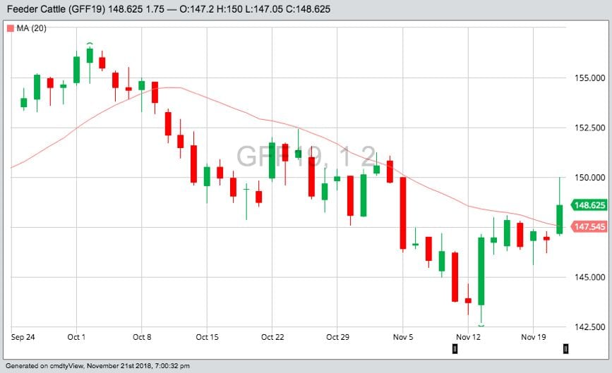 CME January 2019 feeder cattle, with 20-day moving average. (Barchart)

