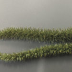 Palmer amaranth female seed head (top) and male (bottom). Female is prickly, male is soft.