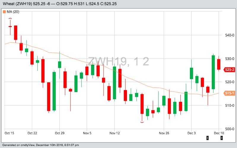 CBOT March 2019 wheat with 20-day moving average. (Barchart)
