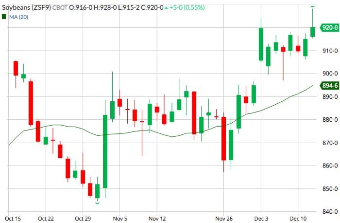 CBOT January 2019 soybeans with 20-day moving average. (Barchart)
