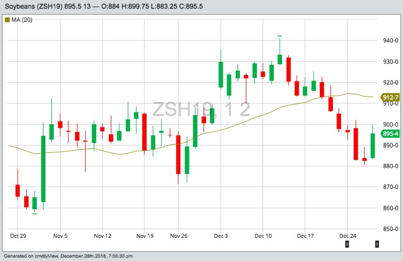 CBOT March 2019 soybeans with 20-day moving average. (Barchart)
