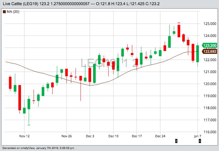 CME February 2019 live cattle with 20-dat moving average. (Barchart)
