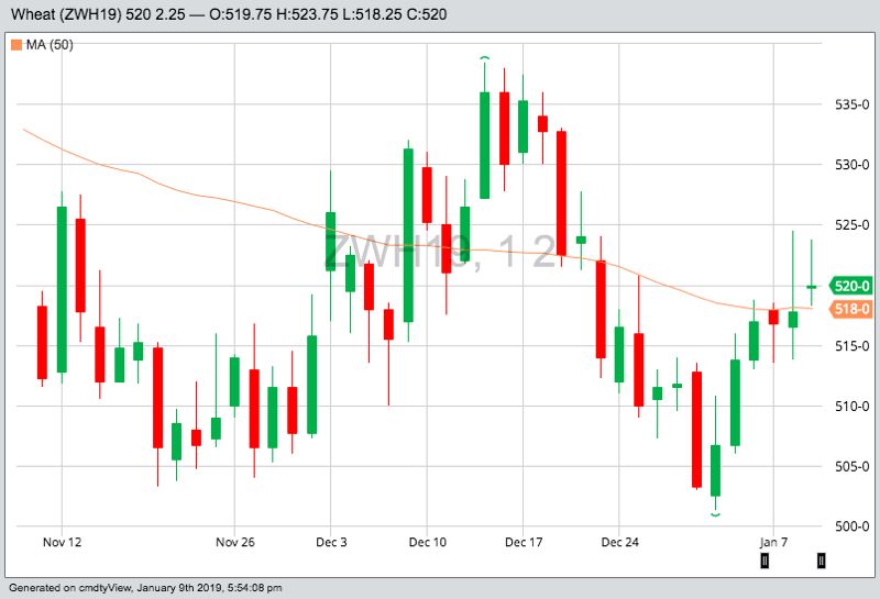 CBOT March 2019 wheat with 50-day moving average. (Barchart)