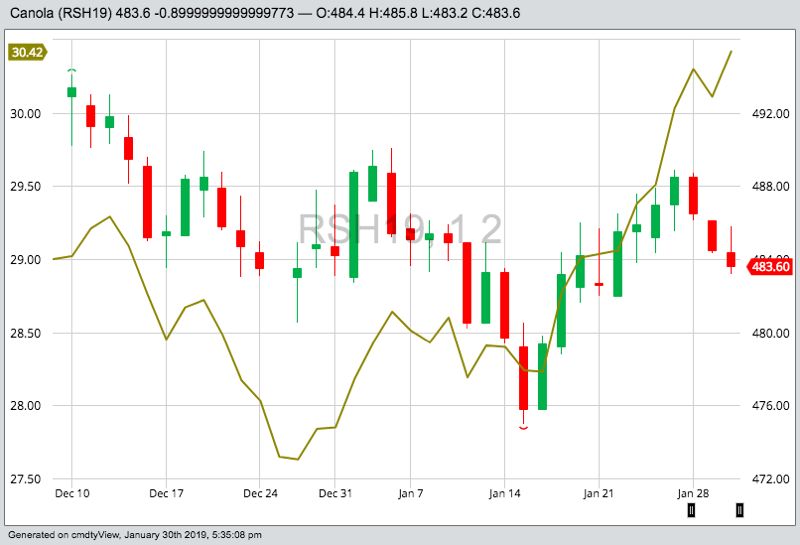ICE March 2019 canola (candlestick chart) with CBOT March 2019 soyoil (green line). (Barchart)
