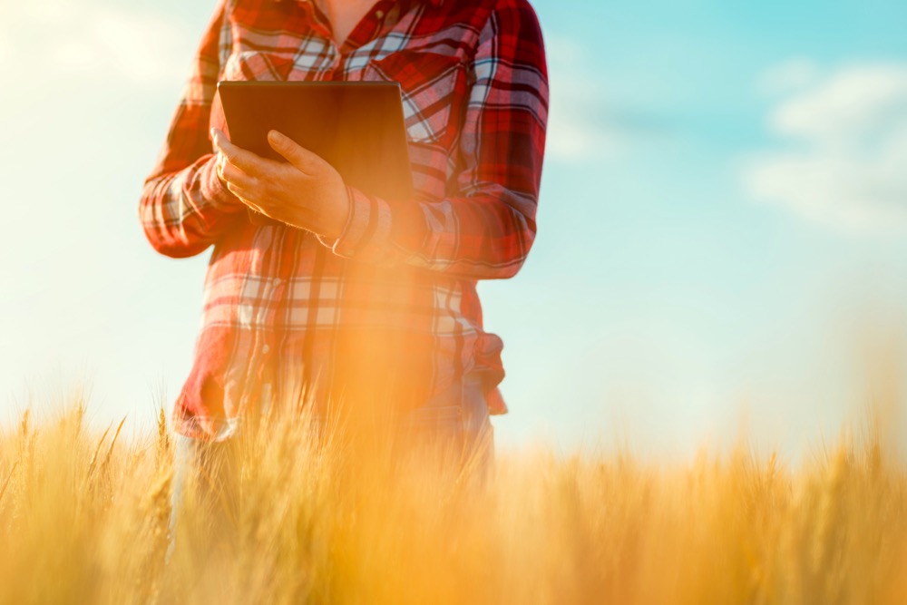 Smart farming, using modern technologies in agriculture. Female agronomist farmer with digital tablet computer in wheat field using apps and internet in agricultural production and crop protection.