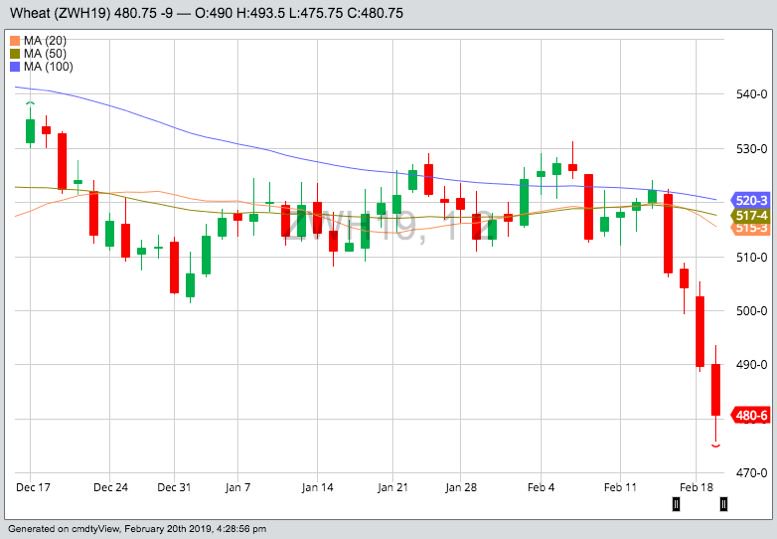 CBOT March 2019 wheat with 20-, 50- and 100-day moving averages. (Barchart)
