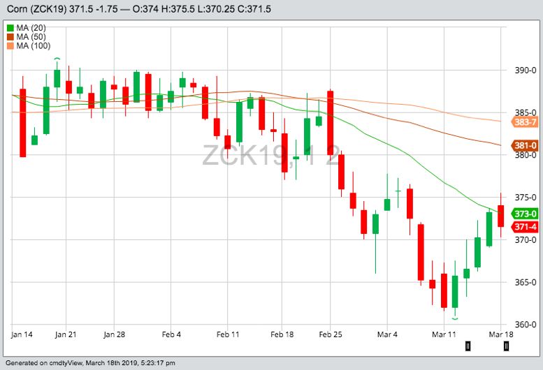 CBOT May 2019 corn, with 20-, 50- and 100-day moving averages. (Barchart)
