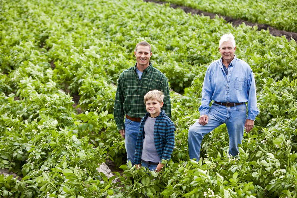 Are you confident with the direction you're getting from advisors as you inch closer towards a farm transition?