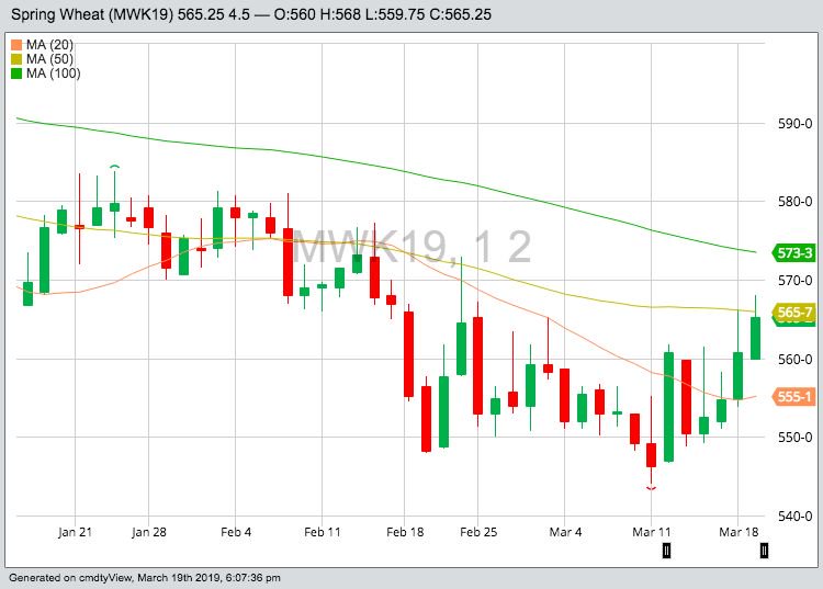 MGEX May 2019 spring wheat with 20-, 50- and 100-day moving averages. (Barchart)
