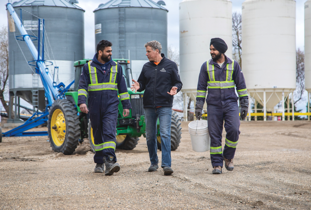 Beating the odds: Gurpreet Singh, Murray Froebe and Tapinder Singh found a way to connect that helps the farm and them too.