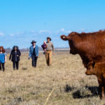 “Not having family members that were farming made some things more difficult,” Lydia Carpenter says. “In other ways, it was an asset to us.”