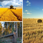 Much of the interest in the bioeconomy can be attributed to an increased desire around the world for natural and sustainable products.