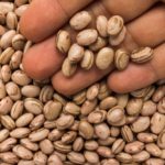 Pinto beans. (Vergani_Fotografia/iStock/Getty Images)