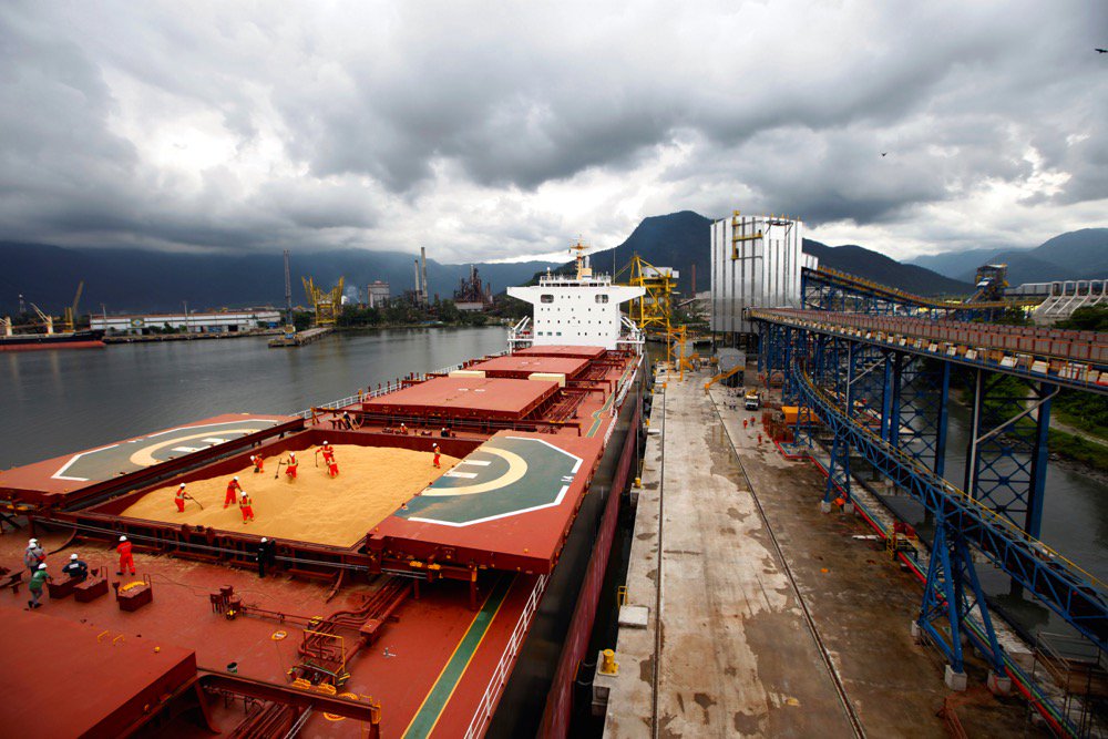 Even with exemption, U.S. soy can’t compete with Brazil, say traders.
 Photo: Reuters/Paulo Whitaker
