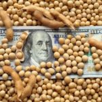 Prices for wheat, corn and soybean could fall for the next 10 to 14 days. Photo: Getty Images