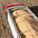 Standing sell orders may be a wise corn marketing strategy this fall.