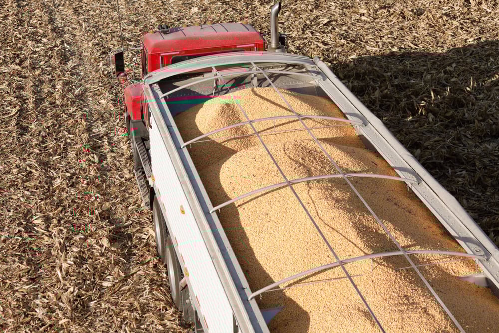 Standing sell orders may be a wise corn marketing strategy this fall.