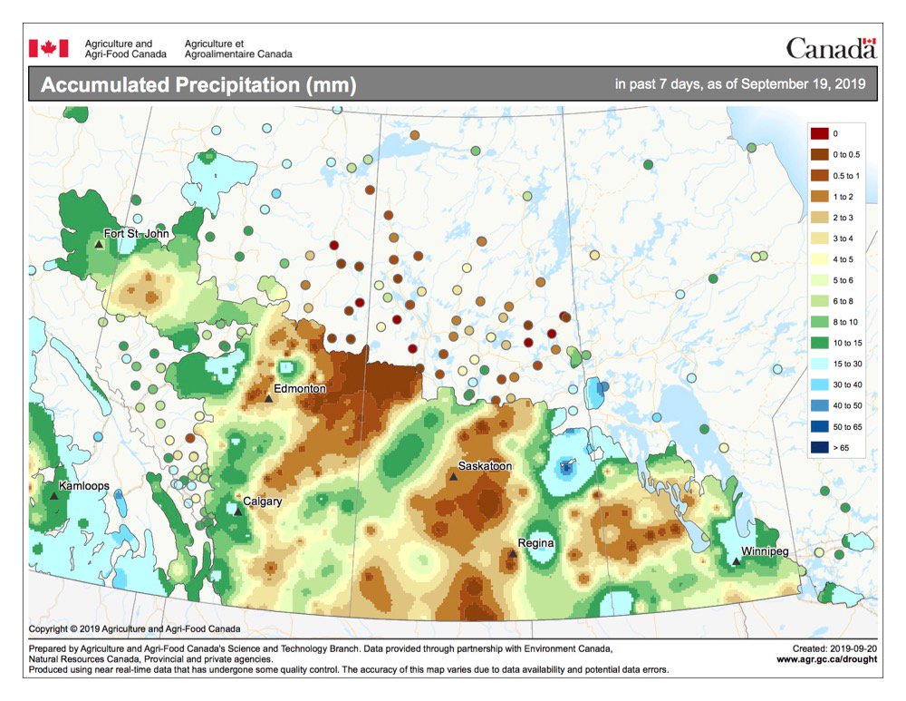 Wet harvests hurt U.S., Canadian spring wheat quality
