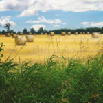 A variety of factors are combining to make the competition for acres very real.