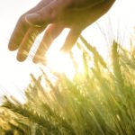 The new age of agriculture will require a combined and co-ordinated effort from both the public and private sectors.