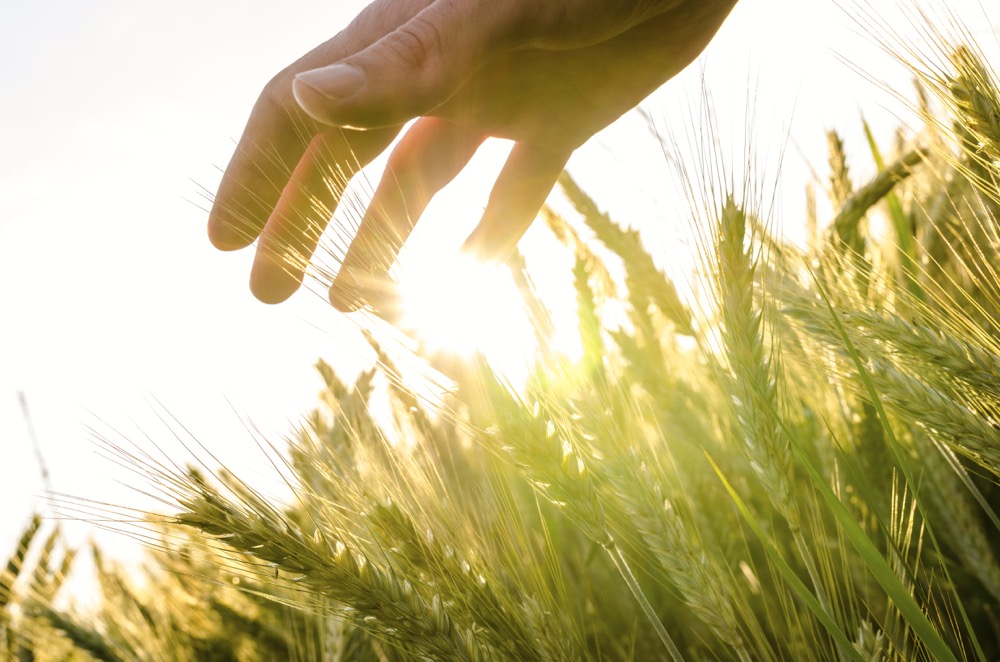 The new age of agriculture will require a combined and co-ordinated effort from both the public and private sectors.