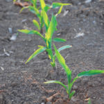 “We are in a complex herbicide and insect-tolerant landscape now,” says Drew Thompson of PRIDE Seeds.