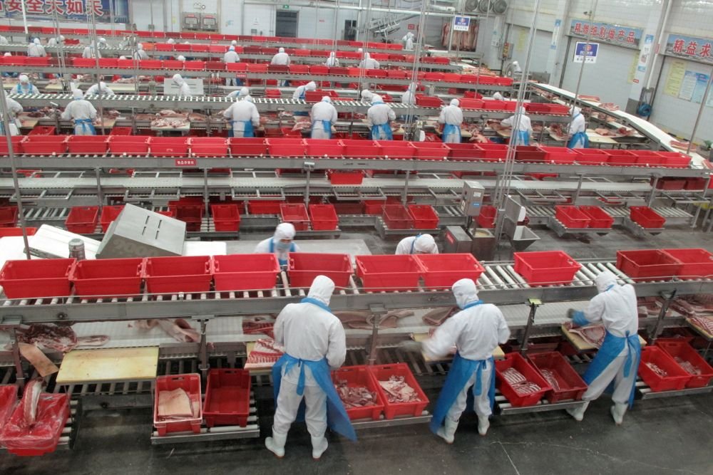 Workers sort cuts of fresh pork in a processing plant of pork producer WH Group in Zhengzhou in China’s Henan province in this file photo, taken through glass, from Nov. 24, 2017. (File photo: Reuters/Dominique Patton)
