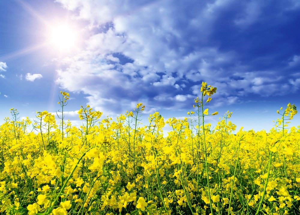 Photo: Thinkstock
