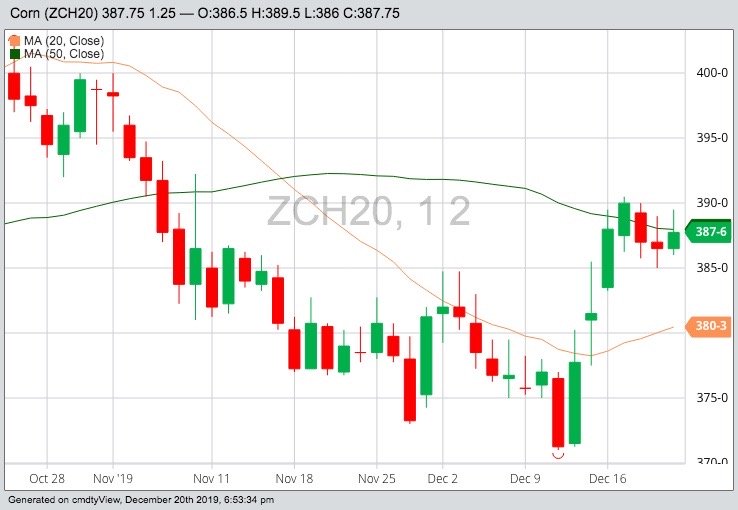 CBOT March 2020 corn, with 20- and 50-day moving averages. (Barchart)
