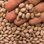 Pinto beans. (Vergani_Fotografia/iStock/Getty Images)