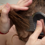 Regardless of what lice treatment you choose, wet combing the hair is always recommended.