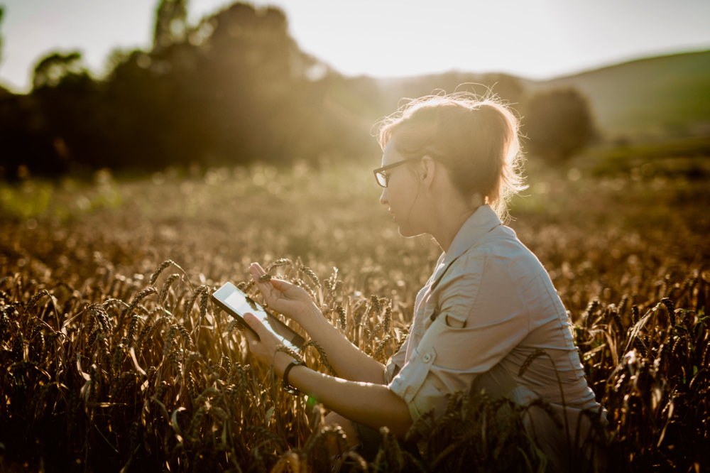 Farming in 2030: Managing risk