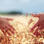 The Hunter family has a plan so future generations can carry on the family farm legacy.