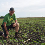 Bob Bartley checks on his canola stand establishment in early June 2019.