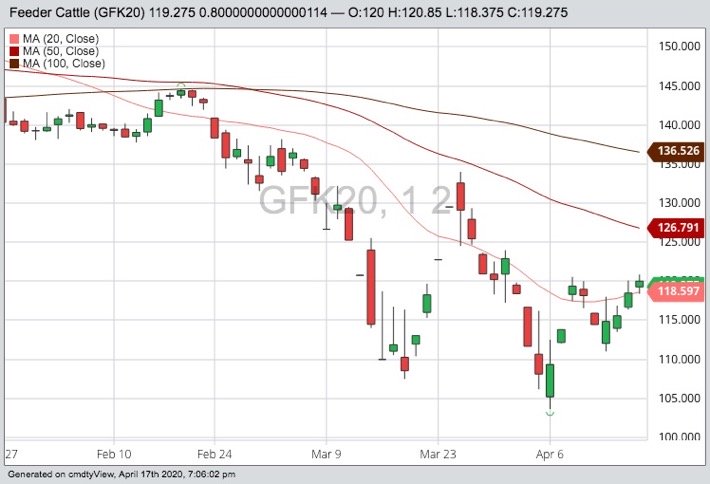 CME May 2020 feeder cattle with 20-, 50- and 100-day moving averages. (Barchart)

