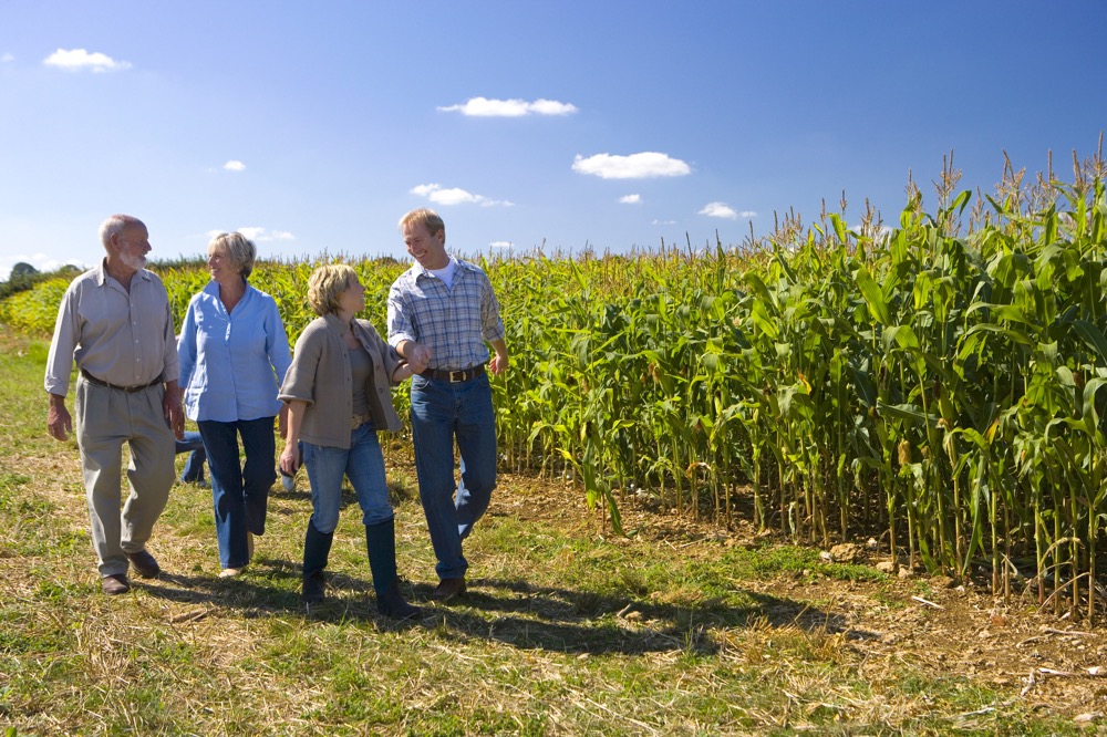 It’s very beneficial to have meetings early in a family’s life as they help build next-generation leadership.