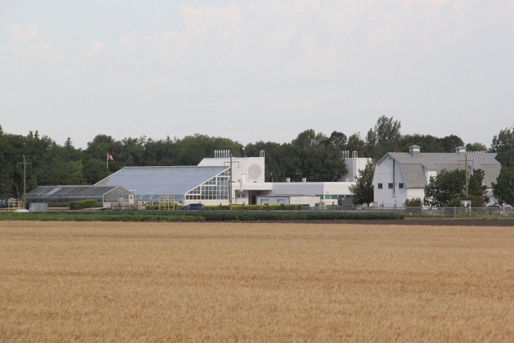 AAFC’s research station at Morden in southern Manitoba. (Manitoba Co-operator file photo by Allan Dawson)
