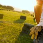 Young people who grew up on the farm wanting to pursue a farming career must consider multiple factors when also deciding for a higher education.
