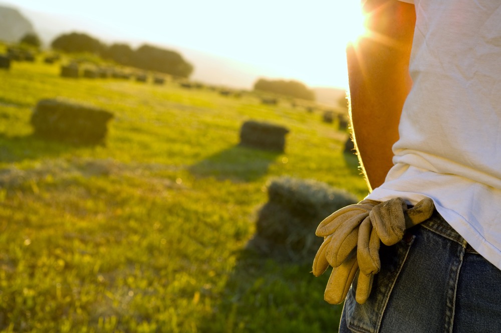 Young people who grew up on the farm wanting to pursue a farming career must consider multiple factors when also deciding for a higher education.