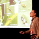 The wild side of pest control