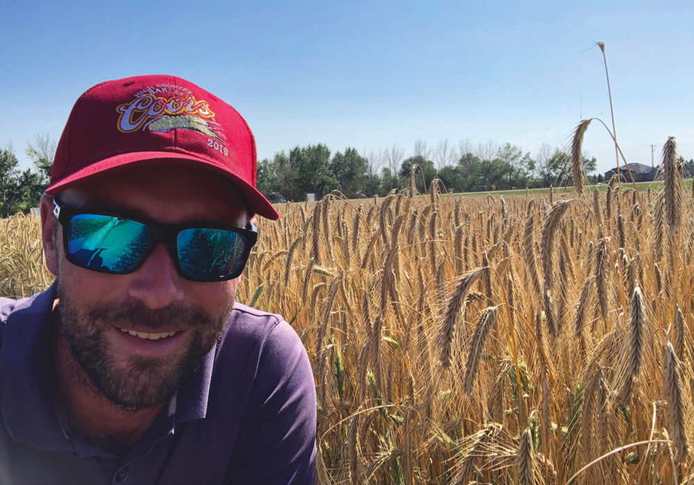 Southern Alberta seed grower Greg Stamp in a field of KWS Daniello, a hybrid fall rye variety noted for its high resistance to ergot.