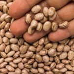Pinto beans. (Vergani_Fotografia/iStock/Getty Images)