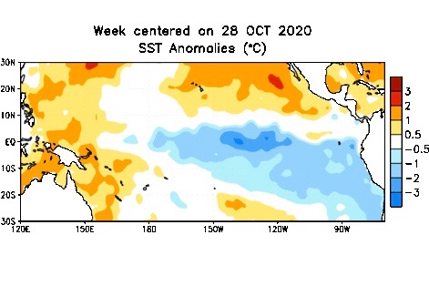 Average sea surface temperature anomalies over the equatorial Pacific Ocean for the week centred on Oct. 28, 2020 compared to 1981-2010 base period. (CPC.ncep.noaa.gov)
