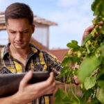 Food hubs need not require a bricks and mortar location, they can be a digital meeting place as well. The point is to connect farmers with consumers, retailers and institutional buyers who can buy their products.